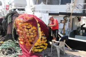 TEKİRDAĞ (AA) – Tekirdağlı balıkçılar, av yasağının sona ereceği 1