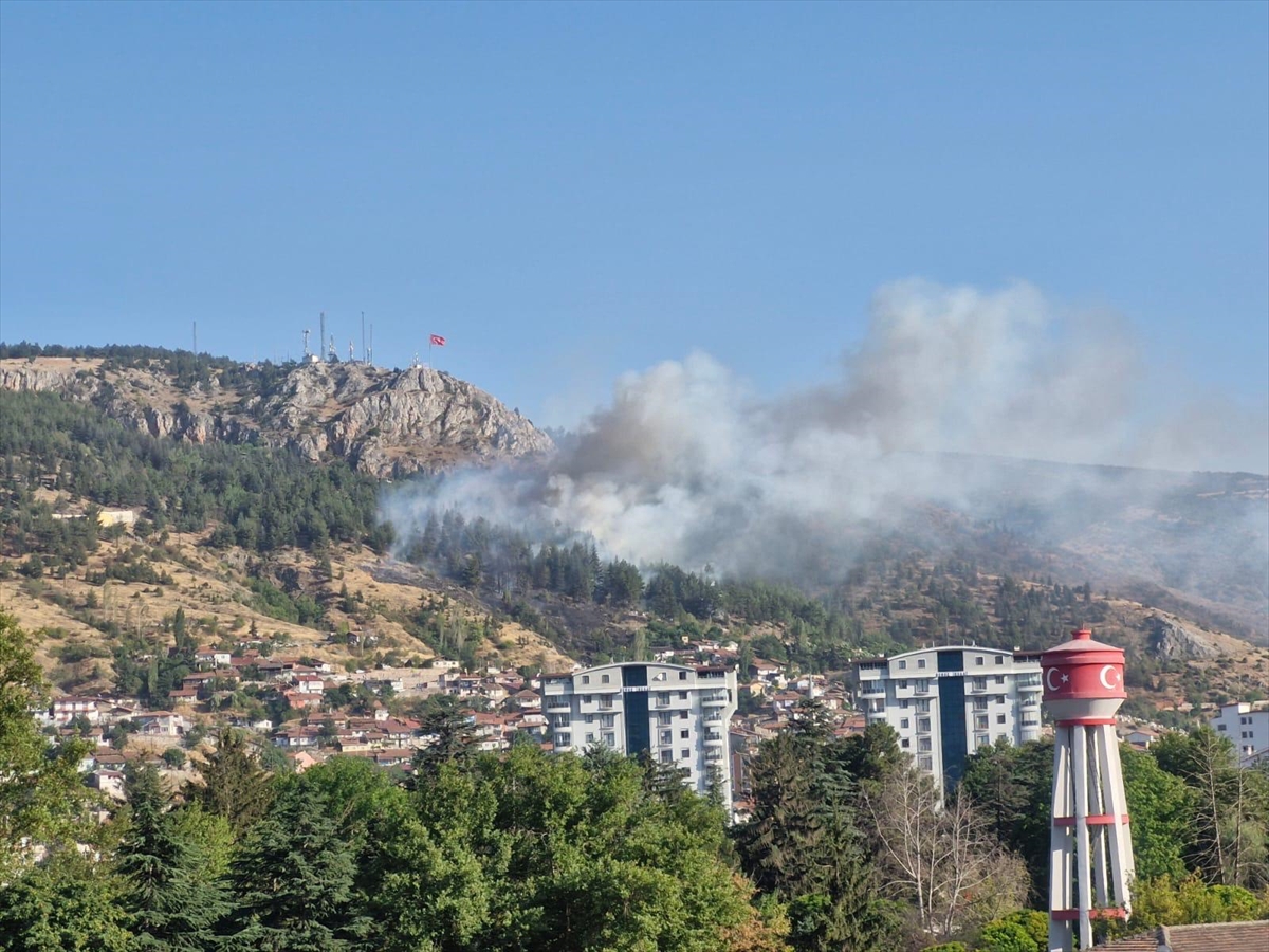 Tokat'ta ormanlık alanda çıkan yangına müdahale ediliyor