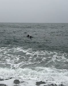 TRABZON (AA) – Trabzon'un Of ilçesinde denizde kaybolduğu öne sürülen