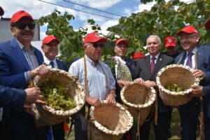 TRABZON (AA) – Trabzon'da, "Dünya Fındık Haftası" etkinlikleri kapsamında Fındık
