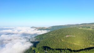 TRABZON (AA) – Trabzon’un Düzköy ilçesindeki Haçka Yaylası, doğal güzellikleriyle