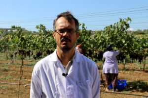 TEKİRDAĞ (AA) – Tekirdağ Bağcılık Araştırma Enstitüsünde, Türkiye'nin en erkenci