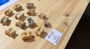 KONYA (AA) – Konya'nın Çumra ilçesinde kazısına geçen yıl başlanılan