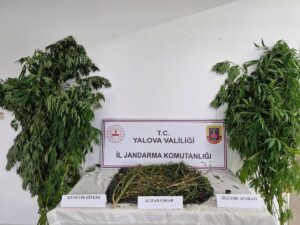 YALOVA (AA) – Yalova'da jandarma ekiplerince düzenlenen uyuşturucu operasyonlarında gözaltına