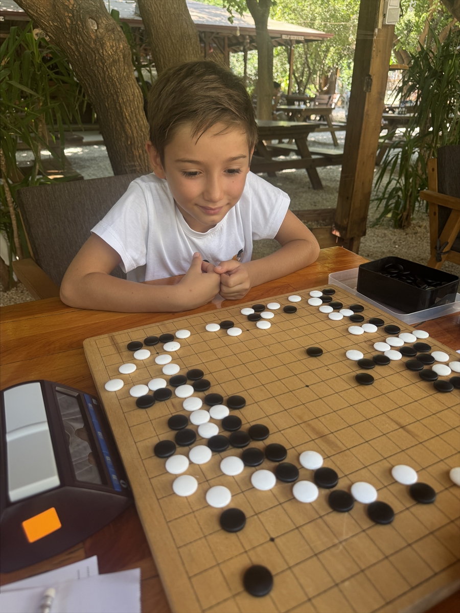 Zeka oyunu “go” Türkiye'de yaygınlaşıyor