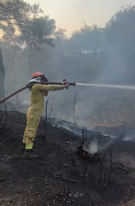 ADANA (AA) – Adana'nın Sarıçam ilçesinde çıkan orman yangını, ekiplerin