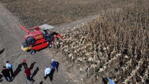 ADANA (AA) – Adana'da Doğu Akdeniz Tarımsal Araştırma Enstitüsü ile