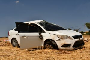 ADIYAMAN (AA) – Adıyaman'ın Besni ilçesinde şarampole devrilen otomobildeki 4'ü