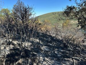 YANGININ SÖNDÜRÜLDÜĞÜ BİLGİSİ EKLENDİ