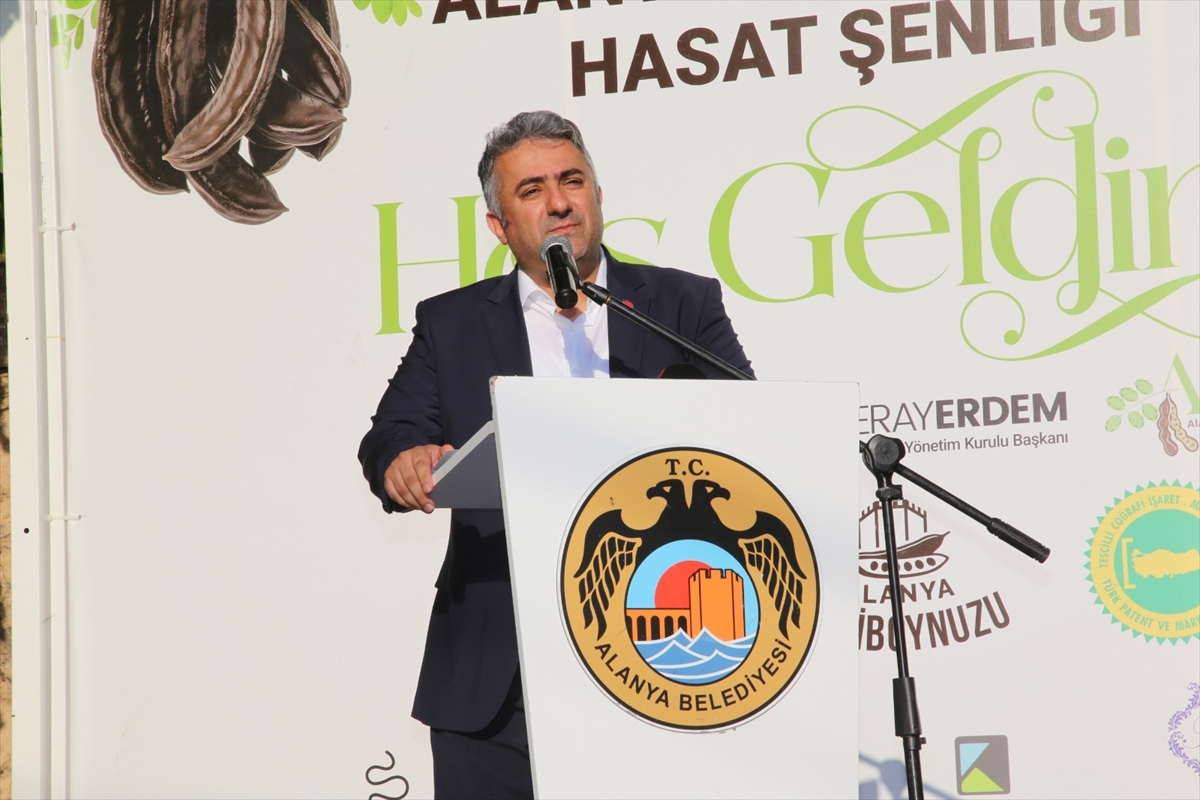 Alanya'da keçiboynuzu hasat şenliği yapıldı
