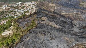 ANTALYA (AA) – Antalya'nın Alanya ilçesinde orman yangınından zarar gören