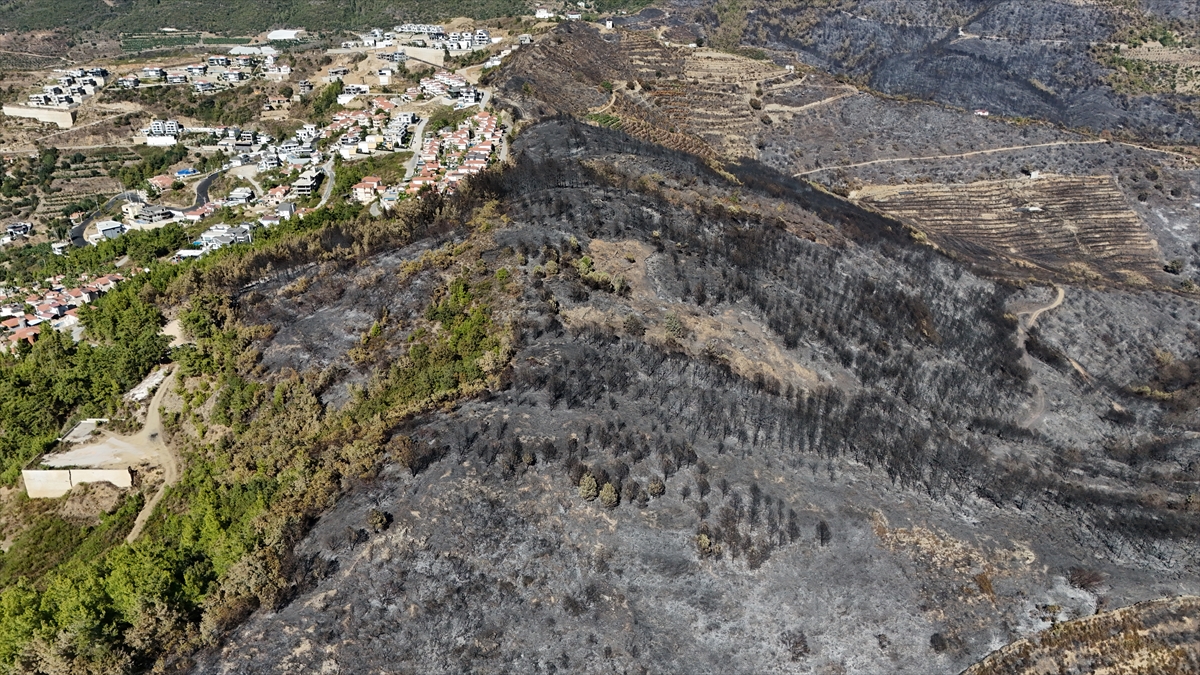 Alanya'da yangından zarar gören alanlar havadan görüntülendi