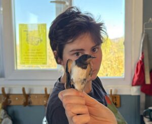 IĞDIR (AA) – HÜSEYİN YILDIZ – Almanya'dan gelerek Iğdır'daki kuş