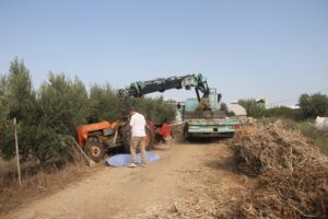 ANTALYA (AA) – Antalya'nın Serik ilçesinde tamir ettiği traktörün altında