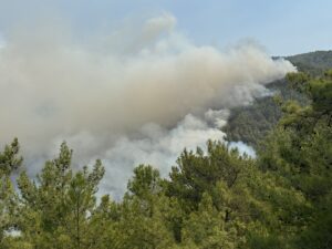 ANTALYA (AA) – Antalya'nın Alanya ilçesinde ormanlık alanlarda çıkan yangınlara