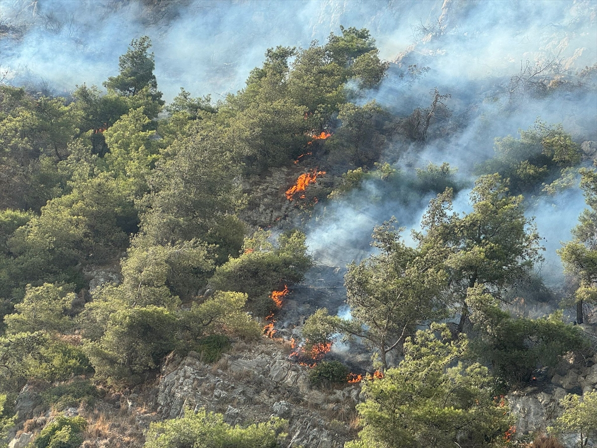 Aydın'ın Söke ilçesindeki orman yangınına müdahale ediliyor