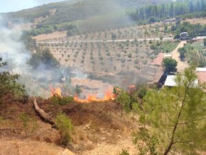 BALIKESİR (AA) – Balıkesir'in Sındırgı ilçesindeki ormanlık alanda çıkan yangın,