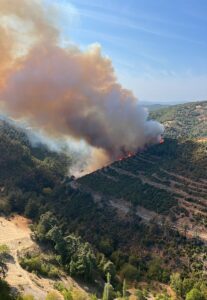 BALIKESİR (AA) – Balıkesir'in Kepsut ilçesinde kaza yapan araçta çıkan