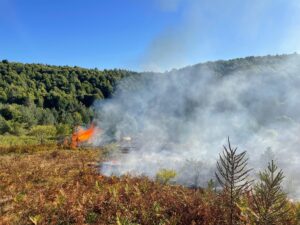 BİLECİK (AA) – Bilecik'in Pazaryeri ilçesinde, arazide başlayıp ormanlık alana