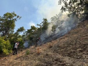 BİNGÖL (AA) – Bingöl'ün Genç ilçesinde ormanlık alanda çıkan yangına