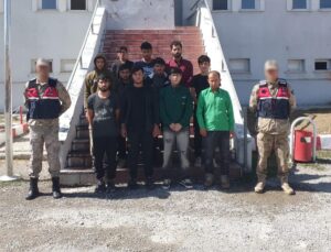 BİTLİS (AA) – Bitlis'in Tatvan ilçesi kırsalında yurda yasa dışı