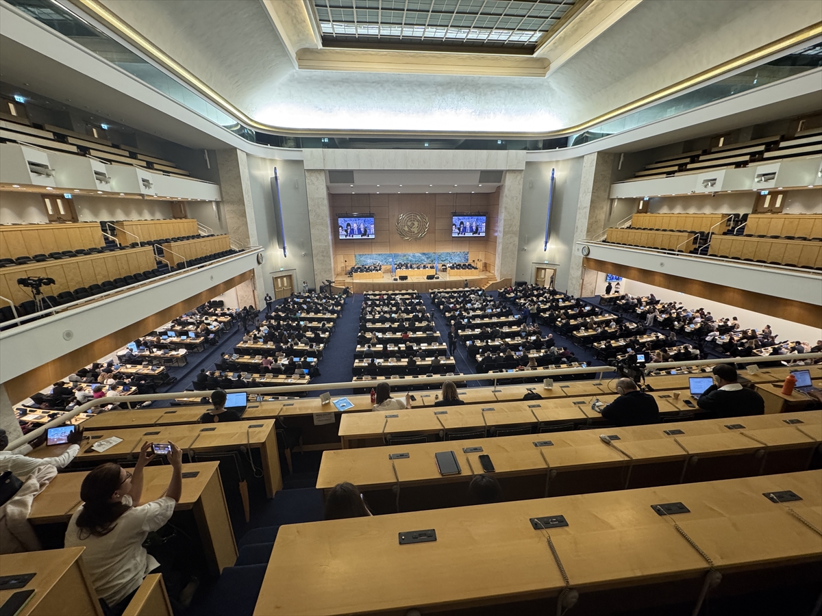BM İnsan Hakları Konseyi'nin 60'ıncı Oturumu Cenevre'de başladı