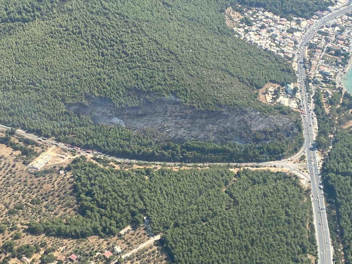 GÜNCELLEME – Bodrum'da çıkan orman yangını kontrol altına alındı