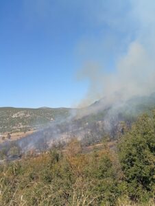 BURDUR (AA) – Burdur'un Ağlasun ilçesinde ormanlık alanda çıkan yangına