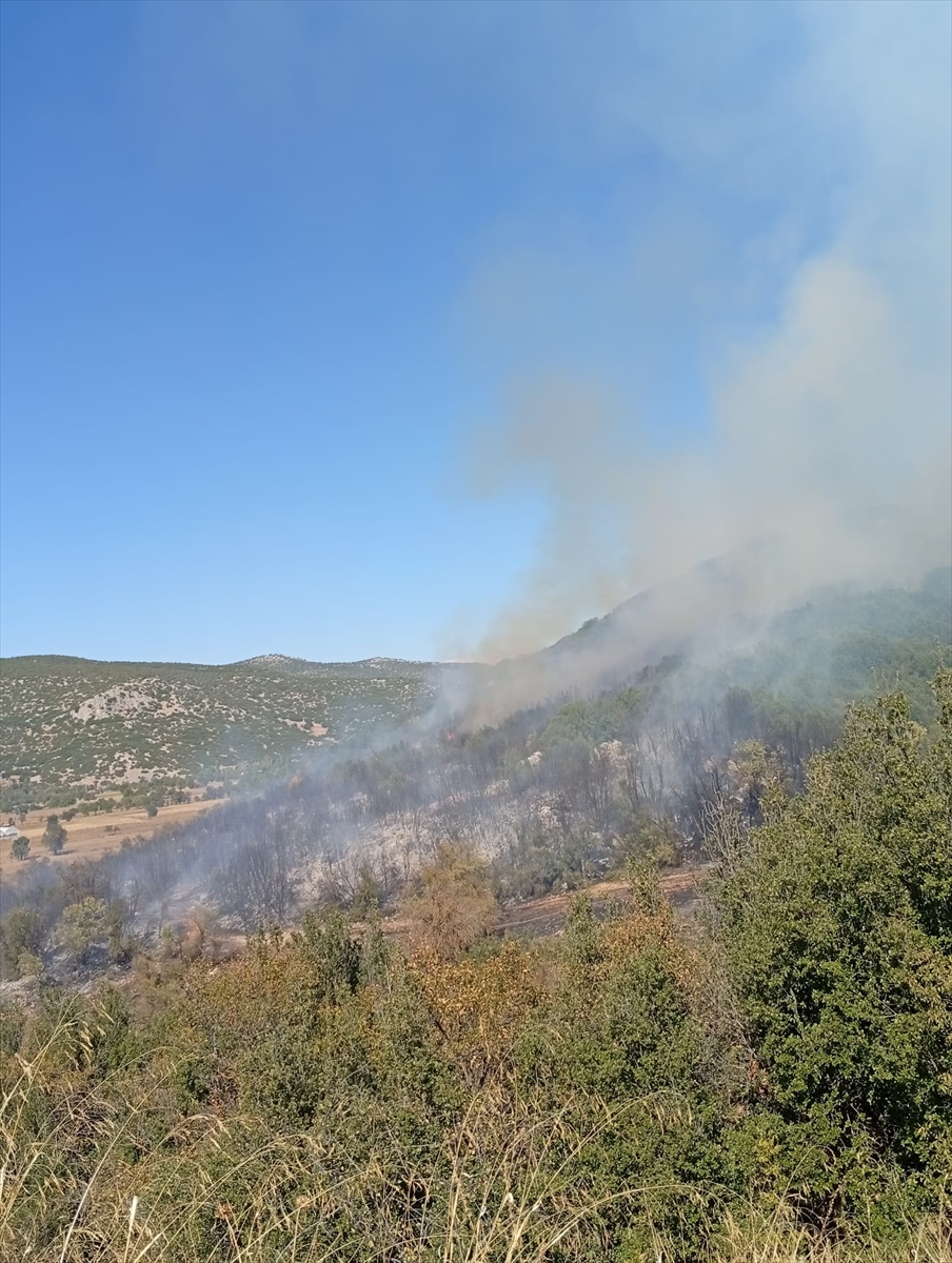 Burdur'da ormanlık alanda çıkan yangına müdahale ediliyor