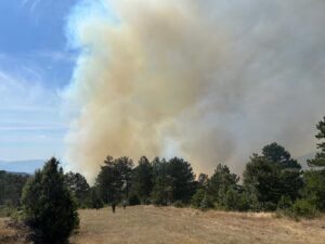 BURSA (AA) – Bursa'nın Orhaneli ilçesinde çıkan orman yangınını kontrol