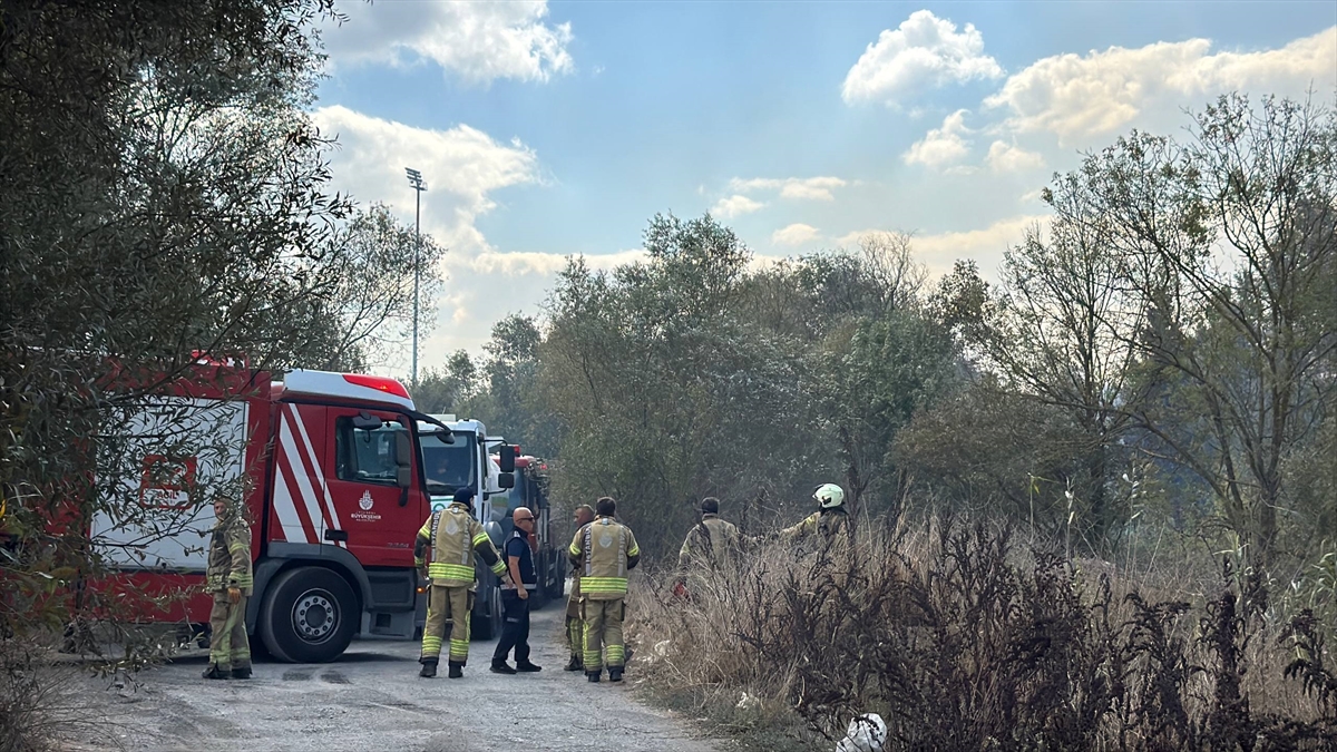 Büyükçekmece'de ağaçlık alanda çıkan yangın söndürüldü