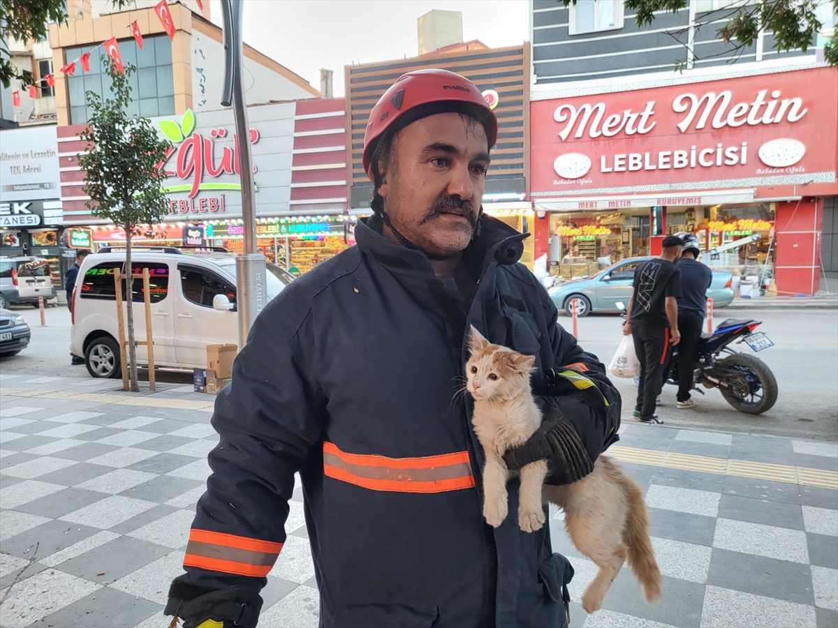 Çorum'da ağaçta mahsur kalan kedi kurtarıldı