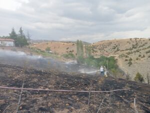ÇORUM (AA) – Çorum'un Dodurga ilçesinde çıkan yangında yaklaşık 10