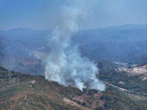 DÜZCE (AA) – Düzce'nin Yığılca ilçesinde çıkan orman yangını söndürülmeye