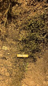 ERZURUM (AA) – Erzurum'da otomobilin içeresindeki çakmak tüpünün patlaması sonucu