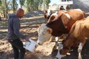 KAYSERİ (AA) – RAMAZAN KAYA – Kayseri'nin Felahiye ilçesinde yaşayan