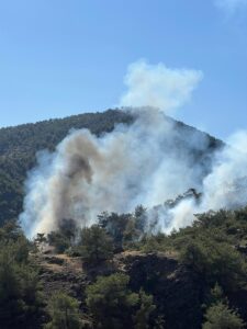 GAZİANTEP (AA) – Gaziantep'in Nurdağı ilçesinde çıkan orman yangınında 1