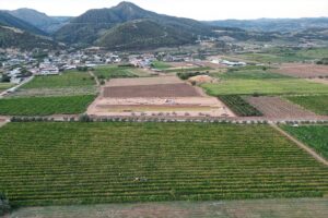 MANİSA (AA) – Manisa'nın Turgutlu ilçesinde, Gediz Ovası'ndaki sergi alanları