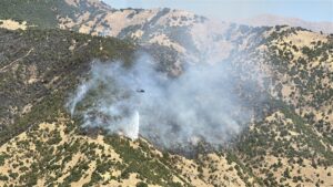 HAKKARİ (AA) – Hakkari'nin Şemdinli ilçesinde ormanlık alanda çıkan yangının