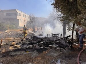 HATAY (AA) – Hatay'ın merkez Antakya ilçesinde bahçede çıkan ve