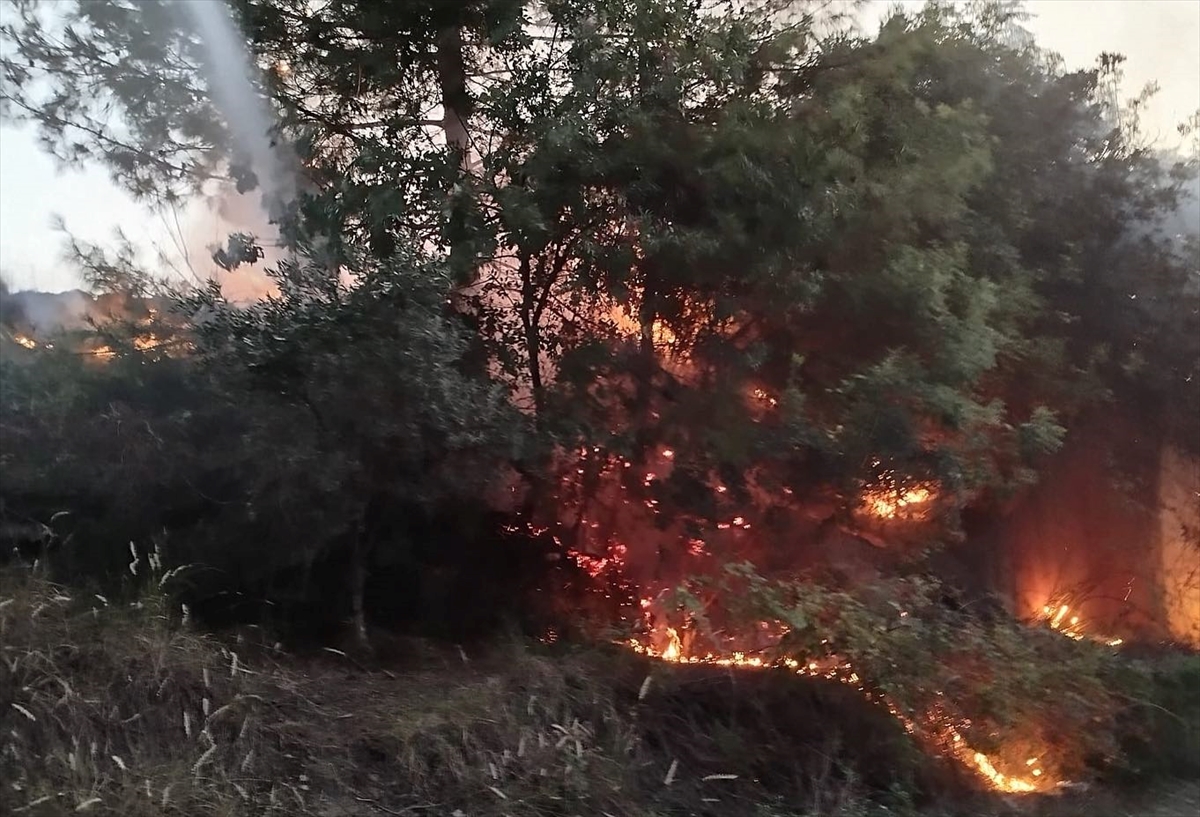 Hatay'da çıkan orman yangını söndürüldü