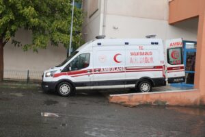 IĞDIR (AA) – Iğdır'da, hayvan otlatırken yıldırım isabet eden genç