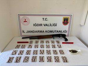 IĞDIR (AA) – Iğdır'daki uyuşturucu operasyonunda gözaltına alınan zanlı tutuklandı.