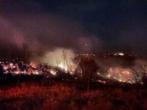 ISPARTA (AA) – Isparta'nın Eğirdir ilçesinde ormanlık alanda çıkan yangın