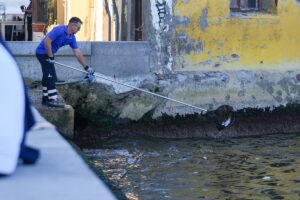 - Körfezde kıyıya vuran balıklar, belediye ekiplerince toplandı