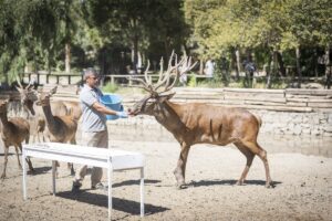 İZMİR (AA) – İzmir'in Kemalpaşa ilçesinde fabrika bahçesinde yaralı halde