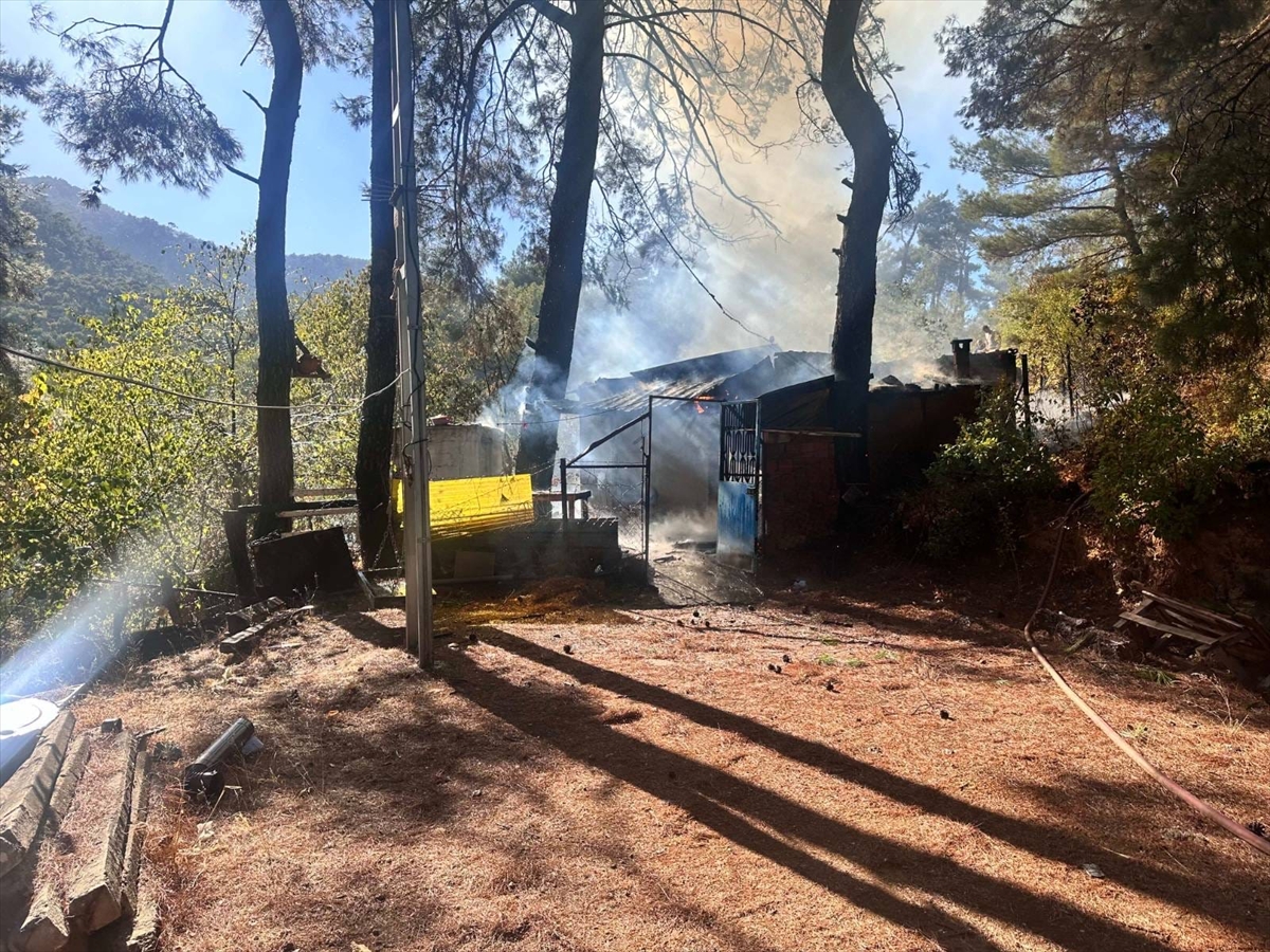 İzmir'de ormanlık alana yakın noktada çıkan yangın söndürüldü