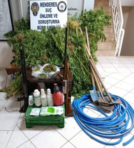 İZMİR (AA) – İzmir'in Menderes ilçesinde ormanlık alanda Hint keneviri