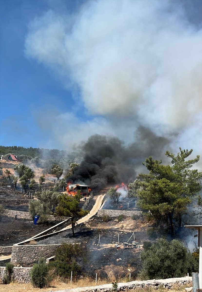 İzmir'de tarım arazisinden ormanlık alana sıçrayan yangın kontrol altına alındı