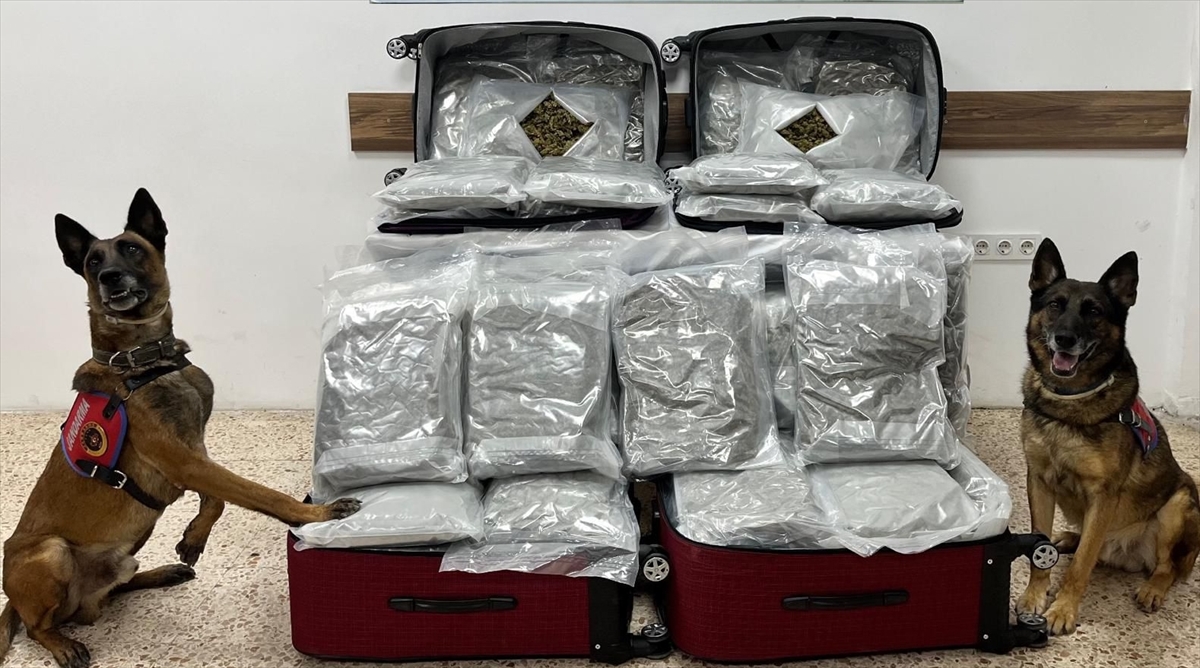 İzmir'de uyuşturucu operasyonlarında 11 şüpheli tutuklandı